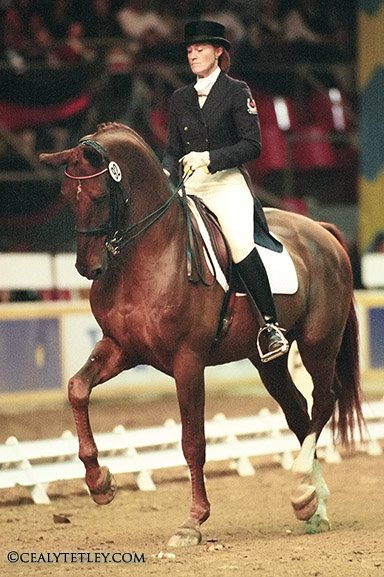 Leslie Reid - Dressage Rider